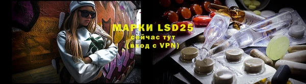 стафф Аркадак