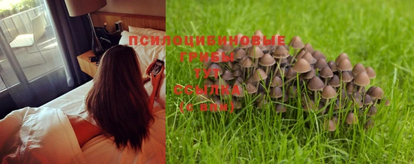 гашик Баксан