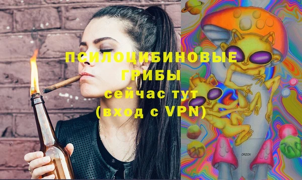 стафф Аркадак
