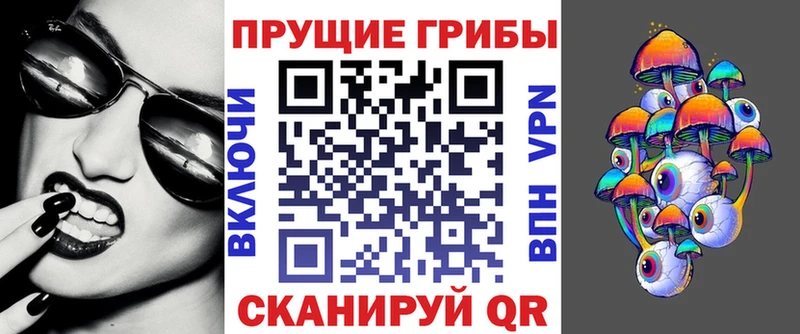 Галлюциногенные грибы ЛСД  blacksprut вход  Михайловск 